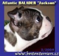 Atlantic Balader "Jackson"